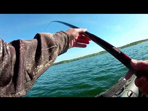 Видео: Пробная рыбалка на маховое удилище