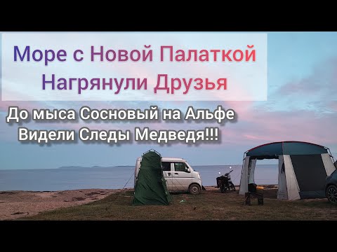 Видео: Море дикарями с Новой Палаткой приехали друзья поехали на мыс Сосновый на Альфе видели следы Медведя