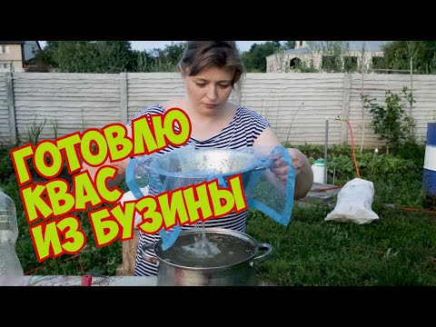 Видео: Квас из бузины. Рецепт