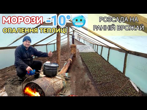 Видео: Вирощування розсади. Зима Мороз -10°. Опалення теплиці
