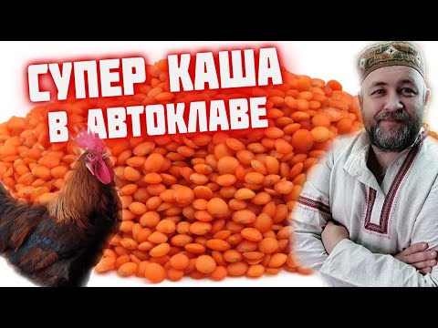 Видео: КАША с МЯСОм в АВТОКЛАВе. Красная чечевица с курицей в автоклаве. Вкусно и полезно.