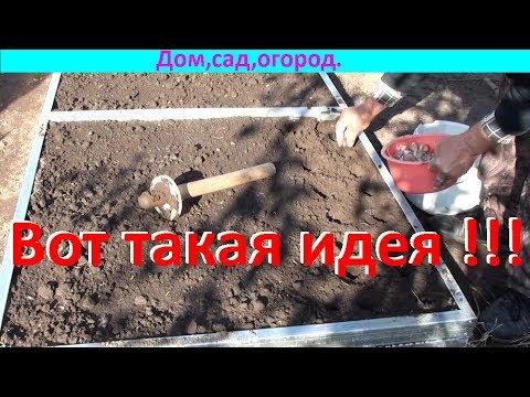 Видео: Приспособление для посадки чеснока!