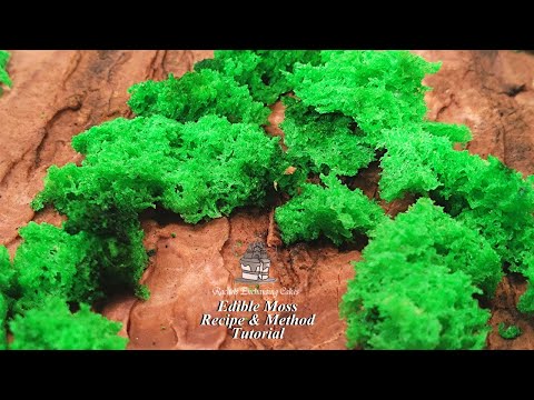 Видео: Техника приготовления съедобного мохового торта — рецепт и способ