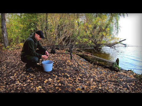 Видео: Дніпро роздає тарань та карасі гарні залітають!