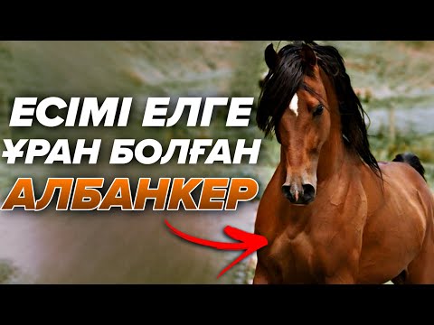 Видео: АЛБАНКЕР АТТЫҢ ТАҒДЫРЫ❗🐎