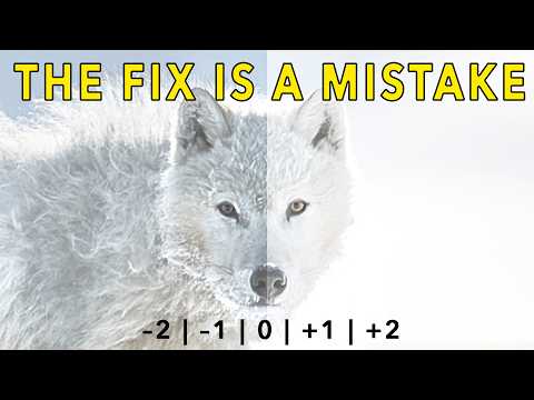 Видео: Перестаньте избегать ошибок — это единственный способ стать мастером фотографии