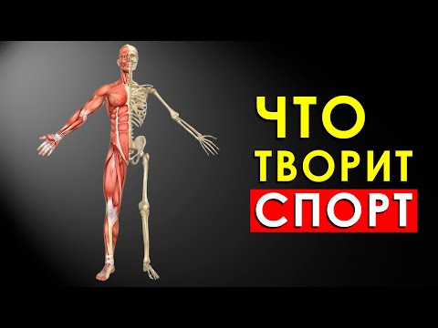 Видео: Что Будет с Телом, Если Заниматься Спортом Каждый День