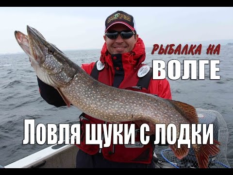 Видео: Рыбалка на Волге. Ловля щуки с лодки