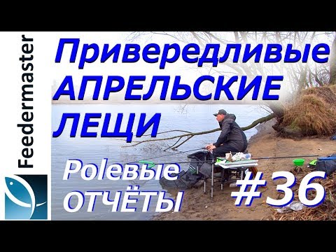 Видео: Привередливые апрельские лещи на фидер. Рыбалка на реке