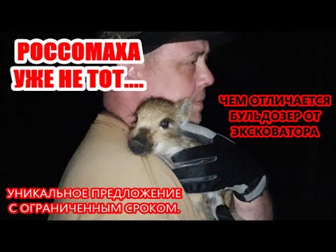 Видео: КАБАНЧИК С ИЗЮМОМ