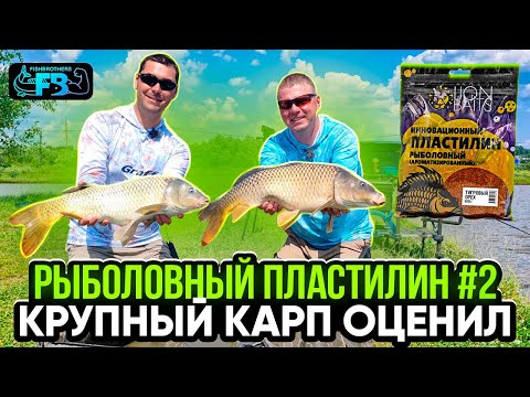Видео: На ПЛАСТИЛИН крупнее!