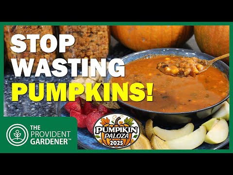 Видео: Хватит тратить тыквы! Попробуйте мой рецепт чили из тыквенной грядки #PumpkinPalooza2025