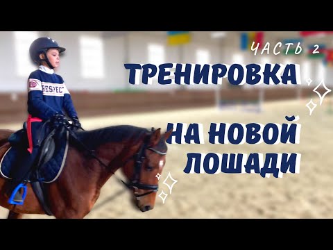 Видео: VLOG// БАРСАС или Моя первая тренировка на новой лошади// ЭКВИРОС