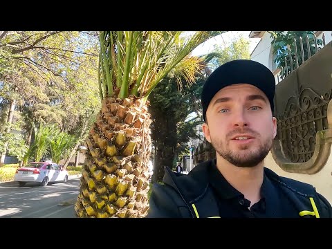 Видео: Мехико, Район у кого жизнь Удалась!  Музей Plaza Carso вы такого не видели) Polanco другой мир 🌍