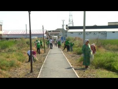 Видео: Жаңақорған ауданында бір күнде 5 тонна қоқыс шығарылды