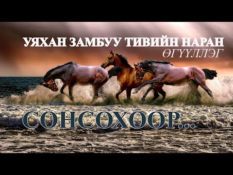Видео: "Уяхан замбуу тивийн наран" өгүүллэг/"Uyakhan zambuu tiviin naran" uguulleg sonsohoor/oguulleg