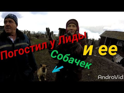 Видео: Приехал в гости к Лиде.У неё приют животных