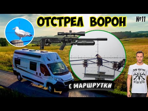 Видео: Отстрел Ворон из Маршрутки! #11 Crow Hunting 2024. Кроухантинг. Jack Hunter.