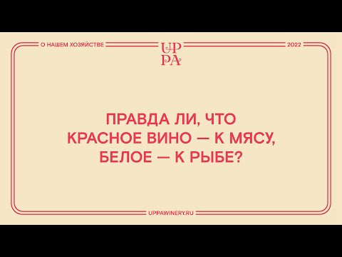 Видео: Правда ли, что красное вино - к мясу, белое - к рыбе?