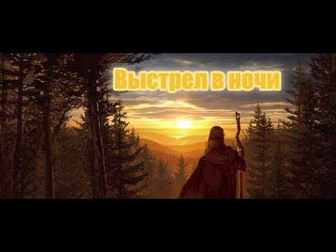 Видео: Выстрел в ночи