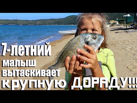 Видео: Как 7-летний малыш вытаскивает крупную Дораду!!!