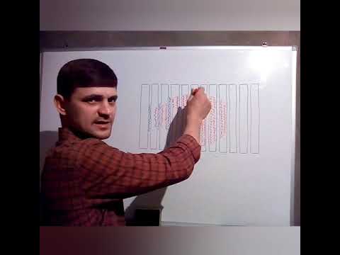 Видео: Как пчёлы ограничивают матку пергой! 2020