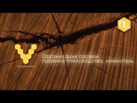Видео: Организация пасеки, правила пчеловодства, инвентарь