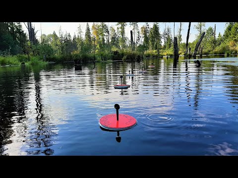 Видео: ЛОВЛЯ ЩУКИ НА КРУЖКИ.ХИЩНИК В ЗАТОПЛЕННОМ ЛЕСУ.Хитрые кружки для ловли в сильный ветер.