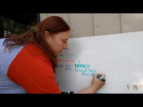 Видео: Математика с кроликом из мяса | Сколько вам нужно?