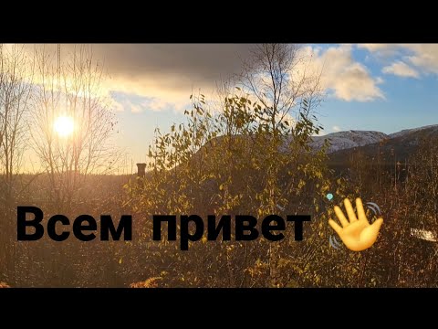 Видео: Быстрая пицца на сковороде 🍕