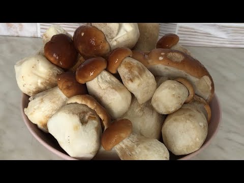 Видео: Готуємо білі грибочки.Як правильно варити білі грибочки.