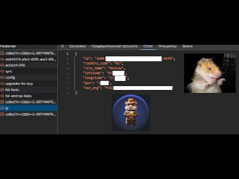 Видео: Hamster Kombat официально видит ваши IP адреса и логирует! Будьте осторожны, защититесь от этого!