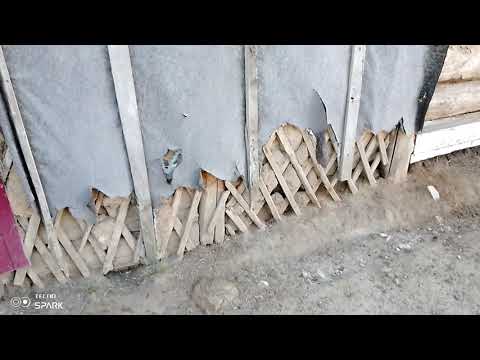 Видео: Добрый день.