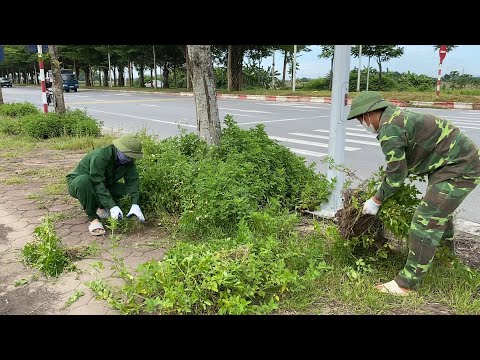 Видео: Никого не волнует заросший тротуар: двое мужчин вызвались его убирать в 40-градусную жару