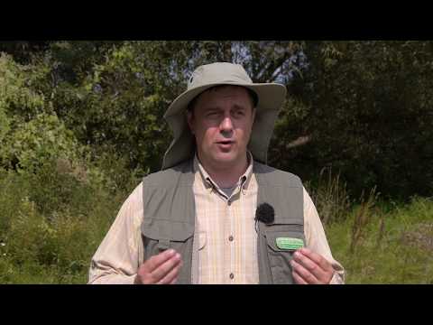 Видео: Мастерская рыболова. Сезон 4. Изготовление титановых поводков