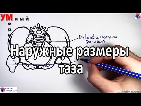 Видео: Наружные размеры таза в норме - meduniver.com