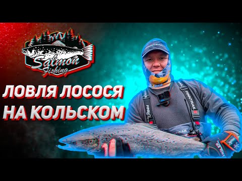 Видео: Сплав по рекам Кольского полуострова. #ловлясемги