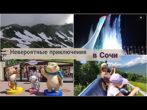 Видео: Невероятные приключения новосибирцев в Сочи