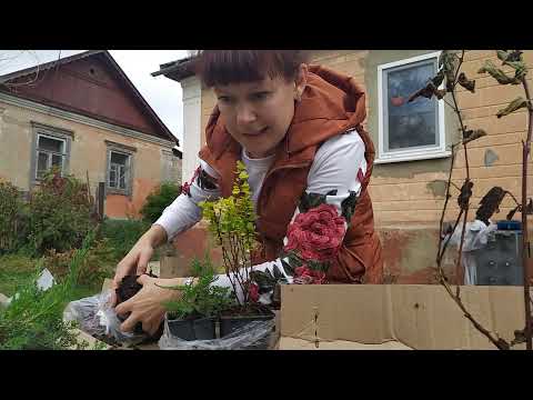 Видео: Первый заказ и распаковка из agromarket24.ru