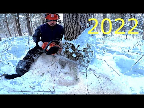 Видео: ВАЛКА ЛЕСА В ОДНОГО!!! СЕЗОН 2022.