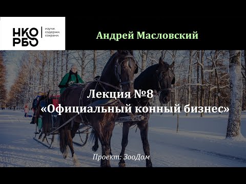 Видео: Лекция №8 Официальный конный бизнес. Легальный прокат