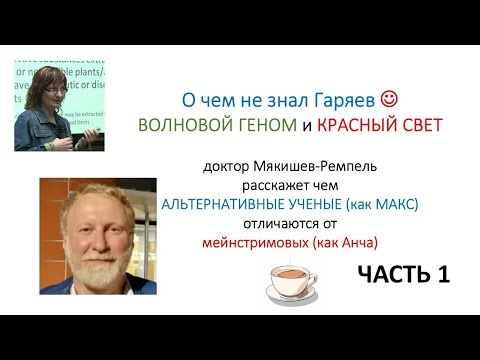 Видео: Волновой Геном и Красный Свет с Максом Мякишевым