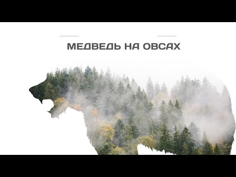 Видео: Аудио рассказ про охоту на Медведя на овсах. Рассказ охотника