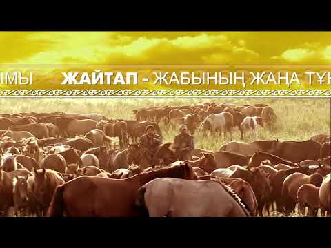 Видео: Мугалжар жылкысы.