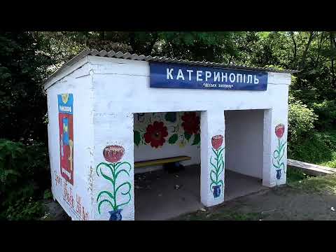 Видео: Звенигородка - Тальне! Очима пасажира!