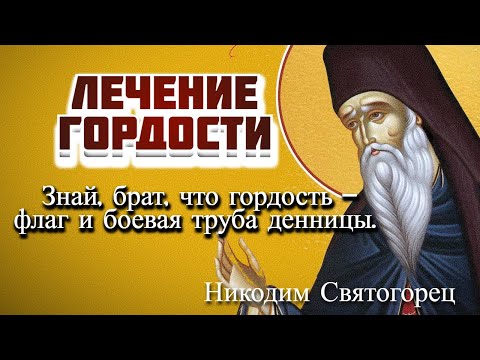 Видео: Как можно исцелиться от этой страшной болезни – гордости? -  Никодим Святогорец