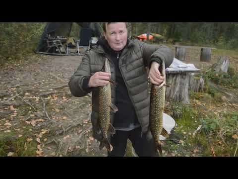 Видео: осень на талвоярви рыбалка
