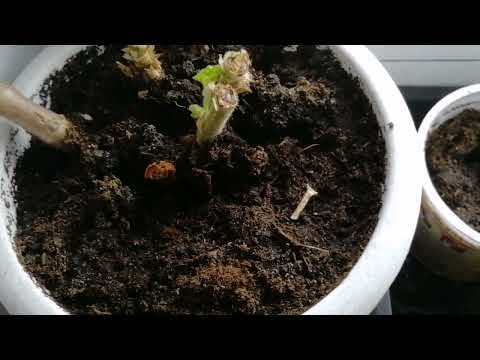 Видео: Вяжем 2023. часть 10