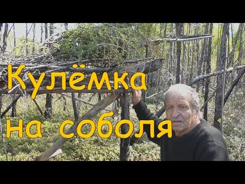 Видео: Кулёмка на соболя