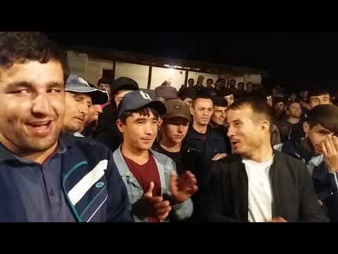 Видео: Туи Фируз